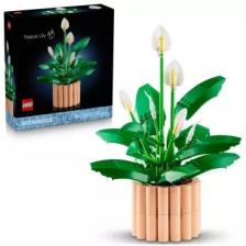 LEGO Botanicals Vitorlavirág 11504