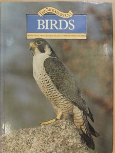 David Saunders - The treasury of birds [antikvár]