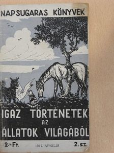 Nyáry Andor - Igaz történetek az állatok világából [antikvár]