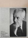 Béla Bartóks Leben in Bildern [antikvár]