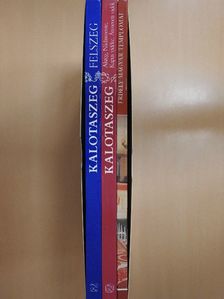 Borbély Anikó - Kalotaszeg I-II./Erdély magyar templomai - Kalotaszeg [antikvár]