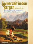 Heinrich Noé - Seinerzeit in den Bergen [antikvár]