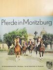 Dr. H. Steiner - Pferde in Moritzburg [antikvár]