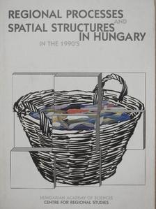 Edit Pfeil - Regional Processes and Spatial Structures in Hungary in the 1990's [antikvár]