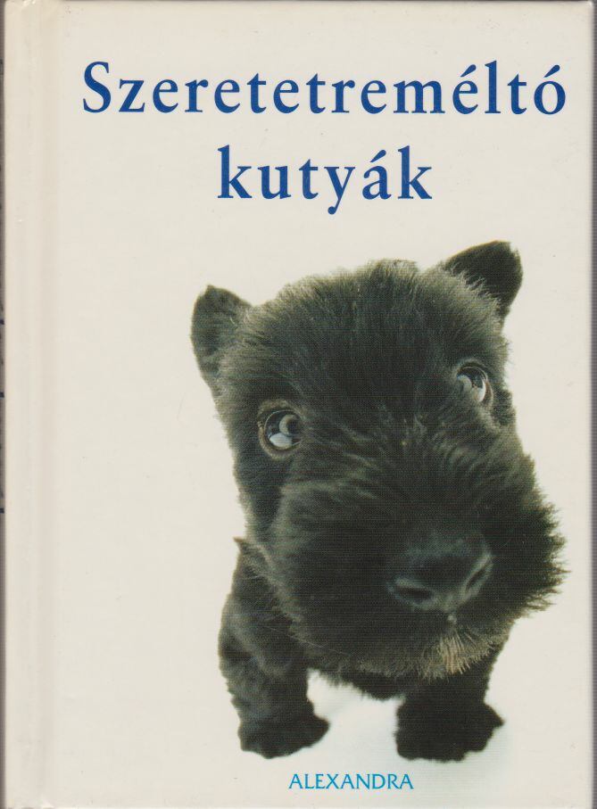 Yoneo Morita - Szeretetreméltó kutyák [antikvár]