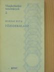 Bozzai Rita - Tőzsdekalauz [antikvár]