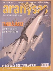 Aranysas 2008. június [antikvár]