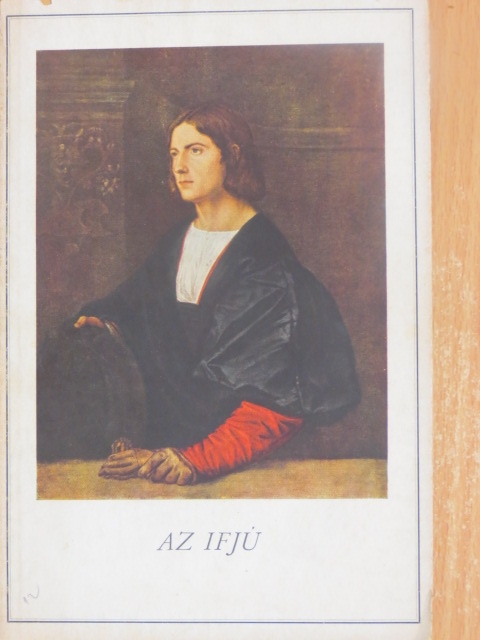 Reinhold Schneider - Az ifjú [antikvár]