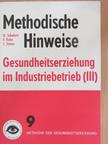 F. Rabe - Methodische Hinweise - Gesundheitserziehung im Industriebetrieb (III) [antikvár]