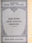 Karl Marquard Sauer - Kleine Spanische Sprachlehre [antikvár]