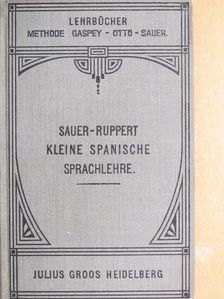 Karl Marquard Sauer - Kleine Spanische Sprachlehre [antikvár]