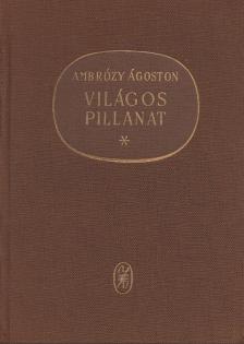 AMBRÓZY ÁGOSTON - Világos pillanat [antikvár]