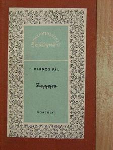 Kardos Pál - Fagyejev [antikvár]