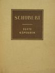 Richard Petzoldt - Schubert élete képekben [antikvár]