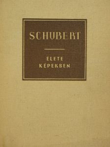Richard Petzoldt - Schubert élete képekben [antikvár]