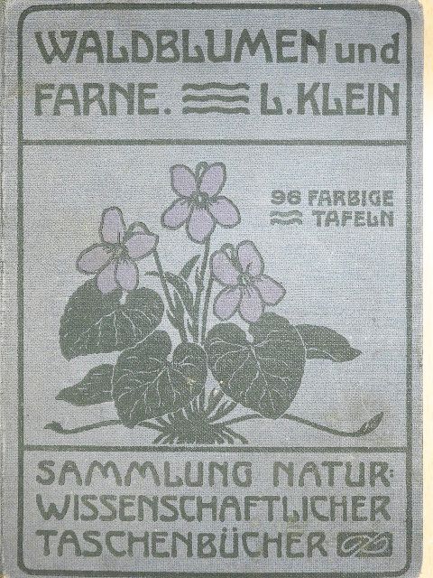 Dr. Ludwig Klein - Unsere Waldblumen und Farngewächse [antikvár]