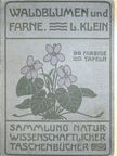 Dr. Ludwig Klein - Unsere Waldblumen und Farngewächse [antikvár]