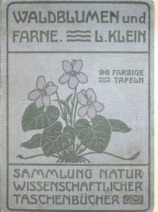 Dr. Ludwig Klein - Unsere Waldblumen und Farngewächse [antikvár]
