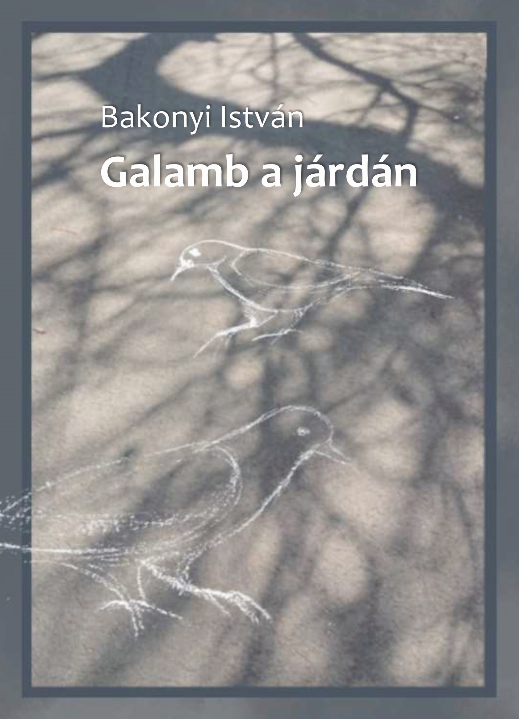 Bakonyi István - Galamb a járdán