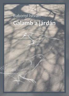 Bakonyi István - Galamb a járdán