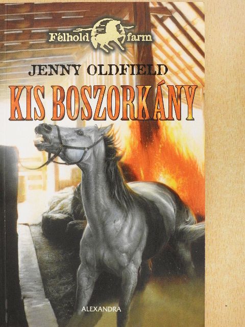 Jenny Oldfield - Kis boszorkány [antikvár]