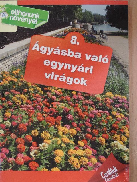 Balázs Erzsébet - Ágyásba való egynyári virágok [antikvár]
