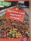 Balázs Erzsébet - Ágyásba való egynyári virágok [antikvár]