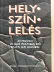 Álmos István - Helyszínlelés [antikvár]