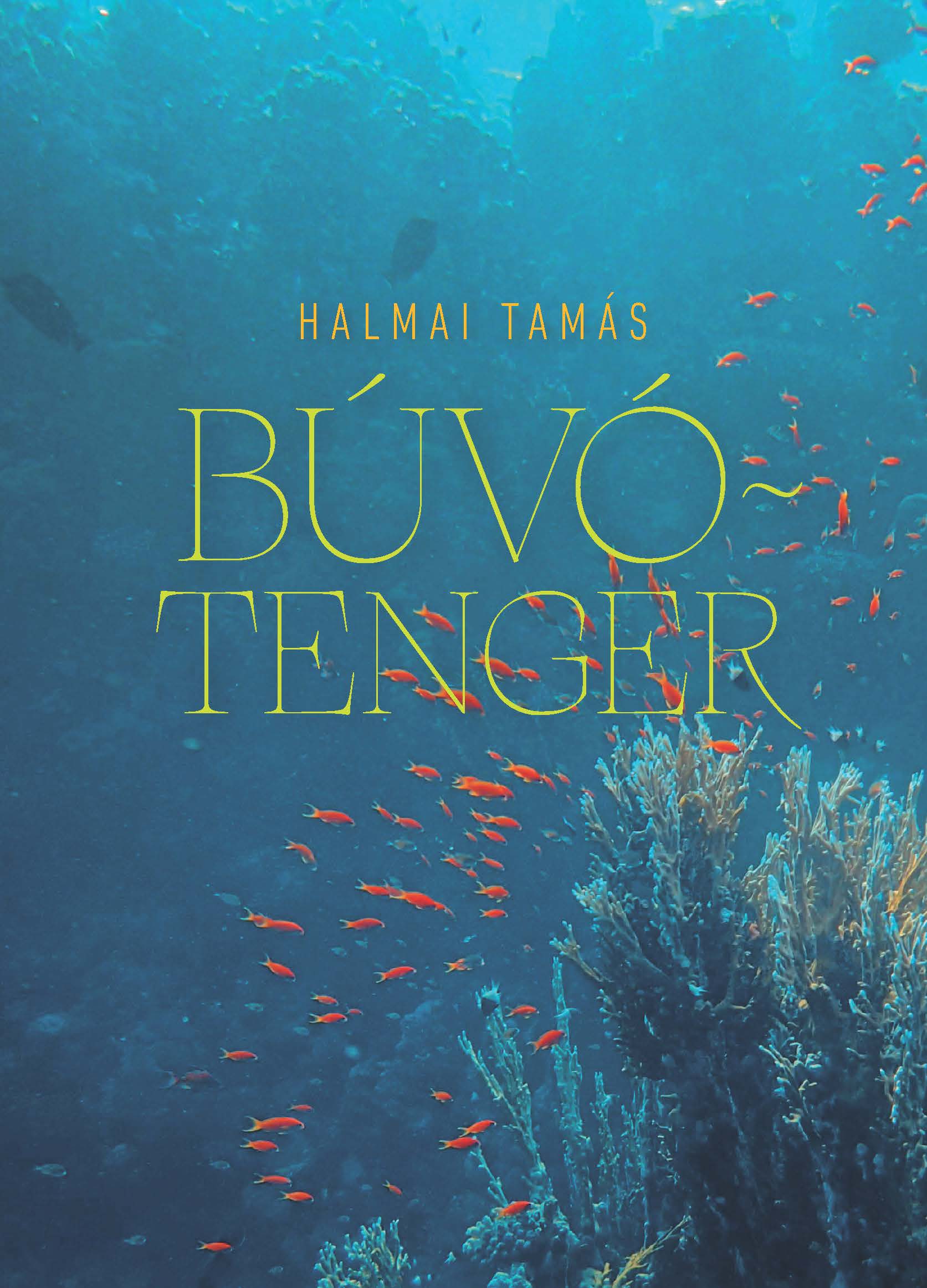 Halmai Tamás - Búvótenger [szépséghibás]