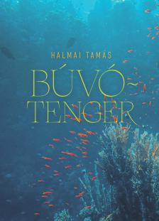 Halmai Tamás - Búvótenger [szépséghibás]
