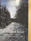 Barsy Irma - Csillagok felett [antikvár]