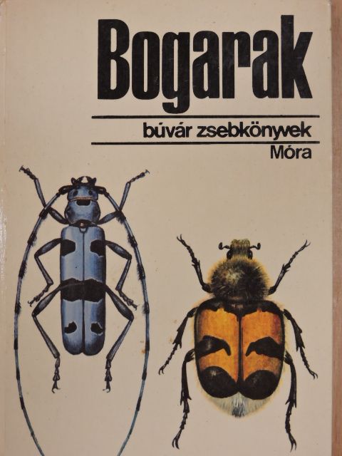 Dr. Endrődi Sebő - Bogarak [antikvár]