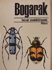 Dr. Endrődi Sebő - Bogarak [antikvár]