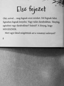 Max Brallier - Az utolsó srácok a Földön és a zombiparádé [antikvár]