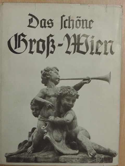 Das schöne Groß-Wien (gótbetűs) [antikvár]