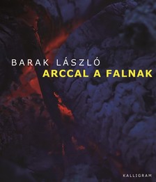 Barak László - Arccal a falnak