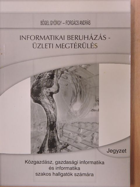 Bőgel György - Informatikai beruházás - üzleti megtérülés [antikvár]