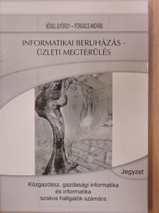 Bőgel György - Informatikai beruházás - üzleti megtérülés [antikvár]
