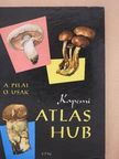 Albert Pilát - Kapesni Atlas Hub [antikvár]
