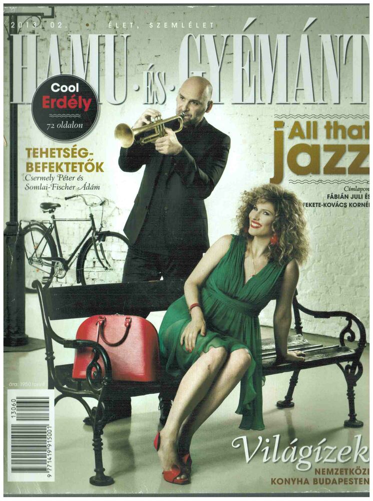 Farkas Ádám - Hamu és gyémánt 2013. 02. [antikvár]