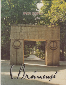 Brezianu, Barbu - Brancusi In Romania [antikvár]