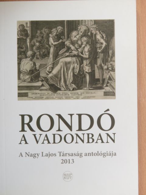 Bárányi Ferenc - Rondó a vadonban [antikvár]
