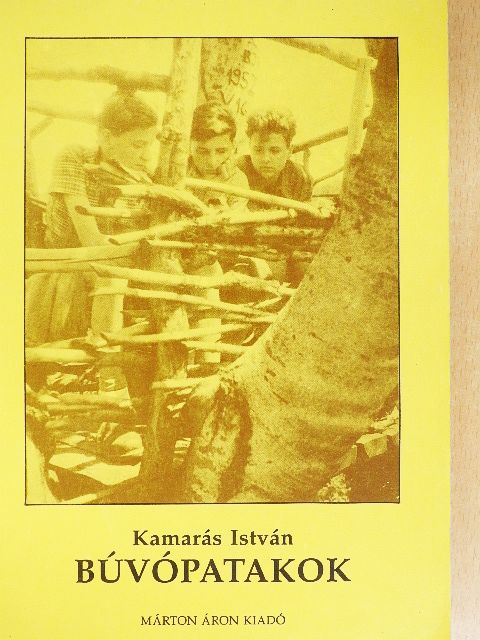 Kamarás István - Búvópatakok [antikvár]