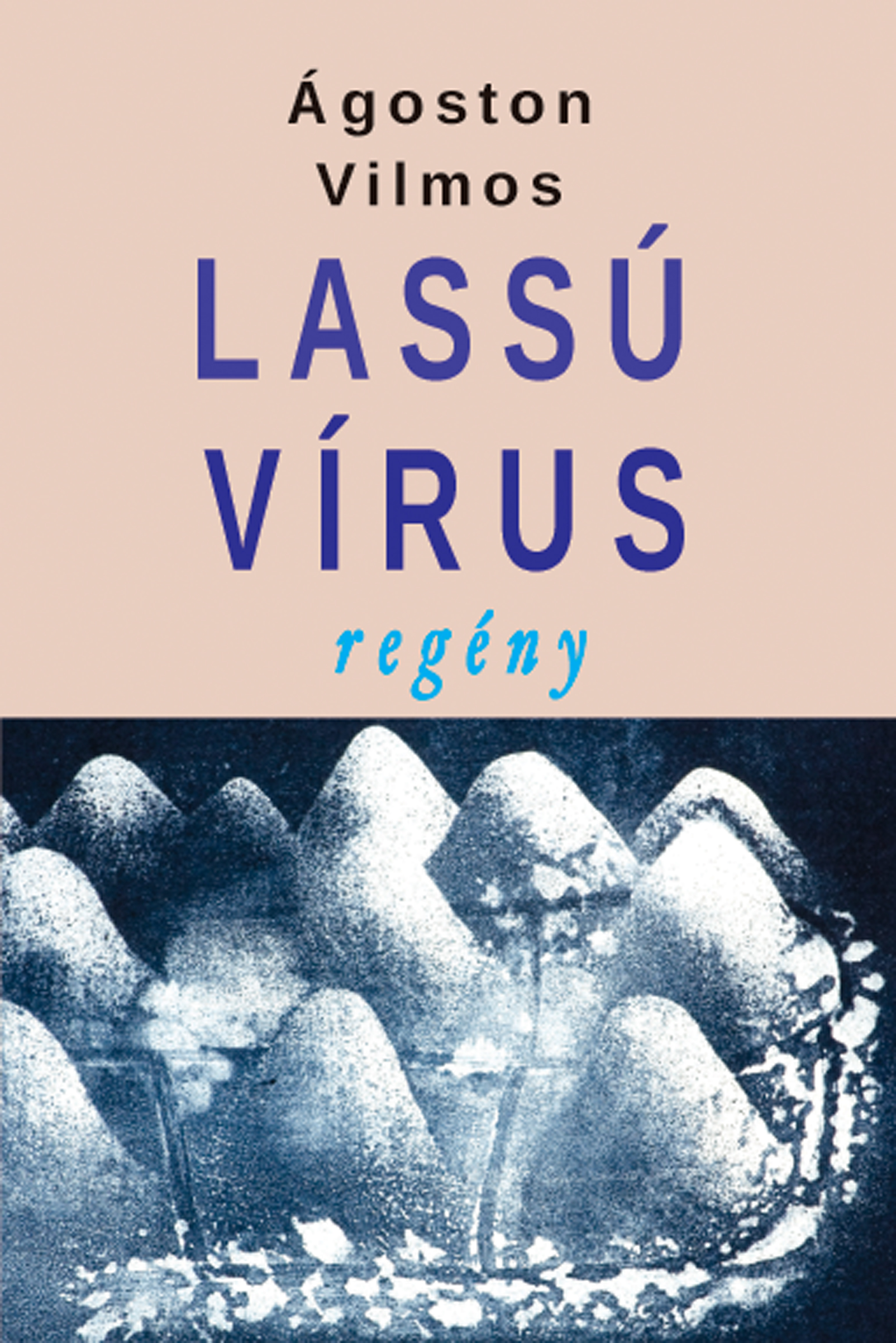 Ágoston Vilmos - Lassú vírus