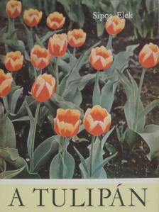 Sipos Elek - A tulipán [antikvár]