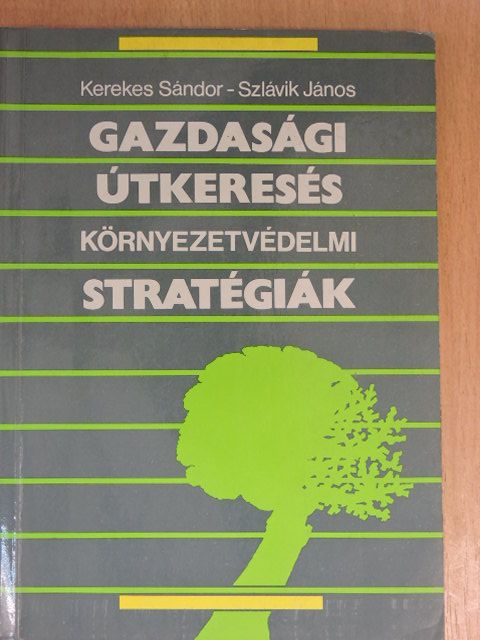 Kerekes Sándor - Gazdasági útkeresés - Környezetvédelmi stratégiák [antikvár]