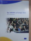 Így működik az Európai Unió [antikvár]