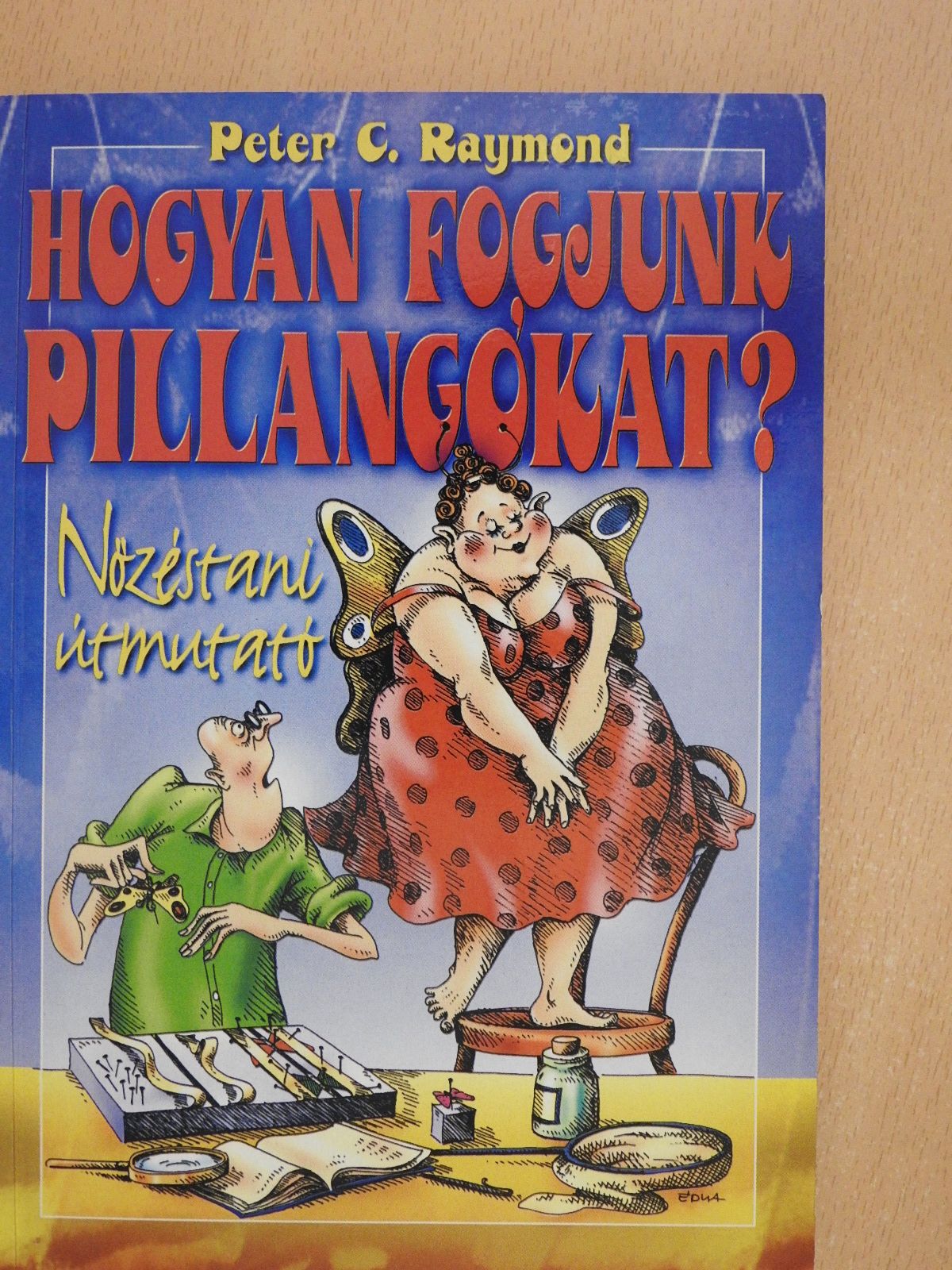 Peter C. Raymond - Hogyan fogjunk pillangókat? (dedikált példány) [antikvár]