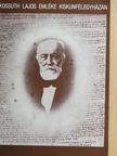 Bánkiné Molnár Erzsébet - Kossuth Lajos emléke Kiskunfélegyházán [antikvár]