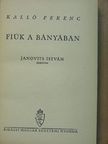 Kalló Ferenc - Fiúk a bányában [antikvár]